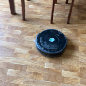 私のペット？の画像