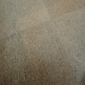 今日は猫の日の画像