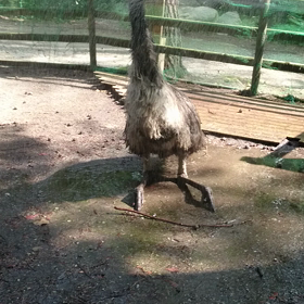 水浴びー！の画像