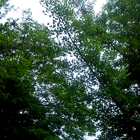 歩く歩くの画像