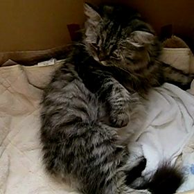 産まれたー！の画像