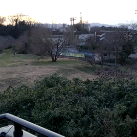 朝の癒しの画像