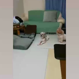 聞き上手の画像