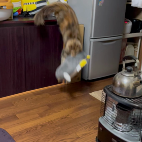 (｡´-д-)。。の画像