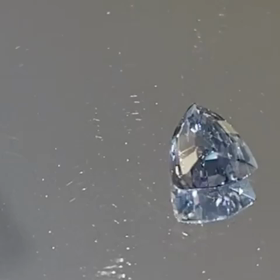 マスクラバイトの裏、見付けた!の画像