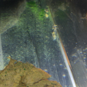 微笑ましい。の画像