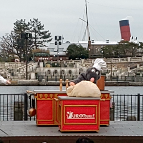 レミーのコネコネタイム❤️の画像