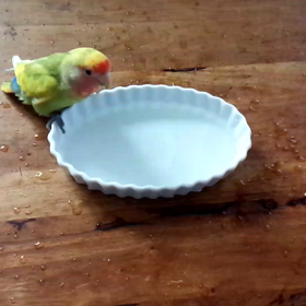 (≧∇≦)の画像