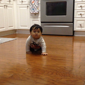 ハイハイの画像