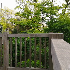 自重で高負荷トレーニング、ディップスの画像