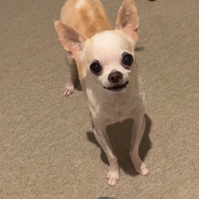 遊ぼーっ‼︎の画像