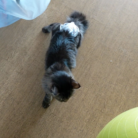 無事に退院の画像