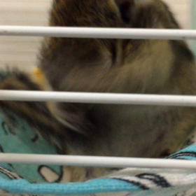 なんか。わちゃわちゃしてる。の画像