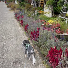 10月お出掛け！（水上）の画像