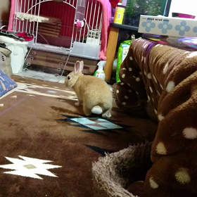 元気よすぎ〜の画像