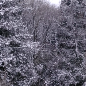 ここは　番外地？　雪国？パート3の画像