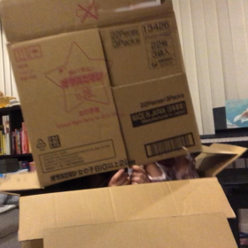 ダンボールハウスの画像