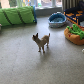 ♪プレイルーム動画♪の画像