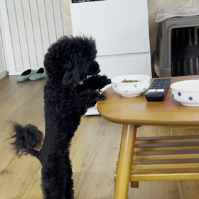 朝ごはんの続きの画像