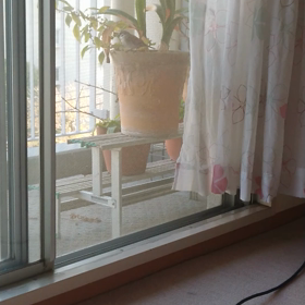 癒し❤️の画像