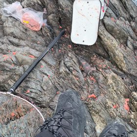 深島小バエにてグレ釣りの画像