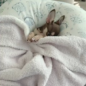 November 6, 2021の画像