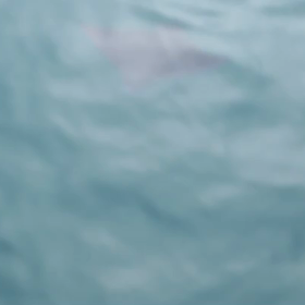 エイ！！の画像