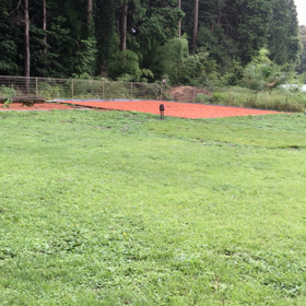 涼しいーの画像