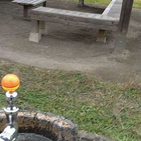 公園水道の奇跡。の画像