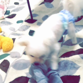 おれのヒートテックの画像