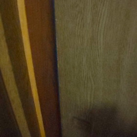 ただいま～トワの画像