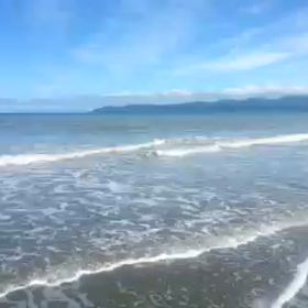 今朝の散歩の画像