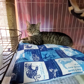 寿安ちゃんフリータイム始めましたの画像