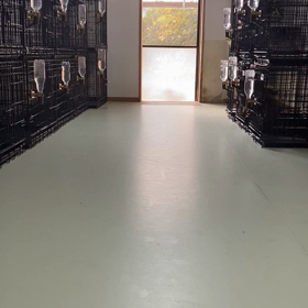 犬舎の日常あるある〜その②の画像