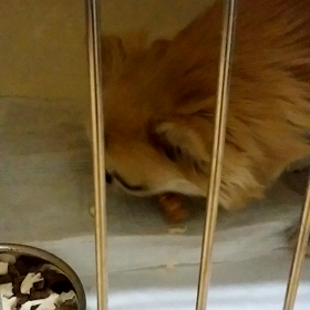 おやつ！の画像