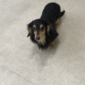 ♪プレイルーム動画♪①の画像