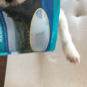 東京ラブストーリー2020 第6話の画像