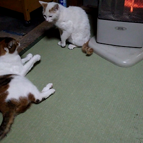 今日は平成スタートの日の画像