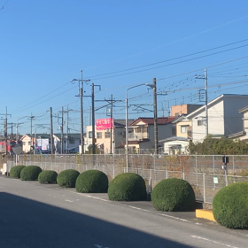 馬鹿、阿保、間抜け！の画像