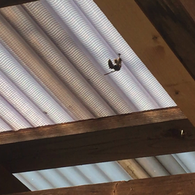 母の月^ - ^の画像