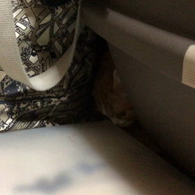 残業終わったぁ　帰りますの画像