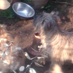 朝から賑やか！の画像