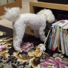 11月25日  取って欲しいんですねの画像