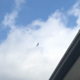 ここはサーキット？の画像