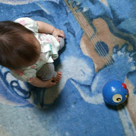 動いた ～  ♪の画像