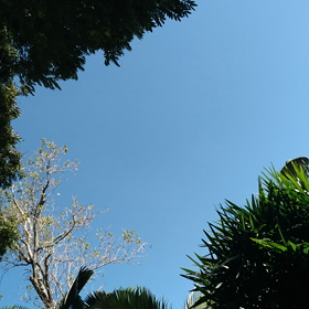 Phim Giải Tríの画像