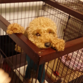 練習中☆の画像