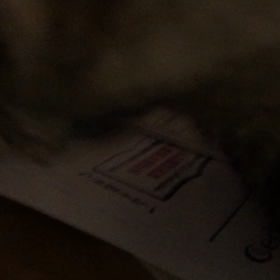 すっごい怒られたの画像