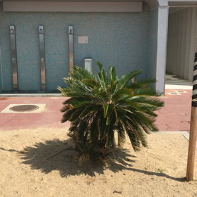 ＢＥ  KＯＢＥ   S U MＡ トイレポリスの画像