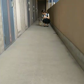 母が会いにきてくれたの画像